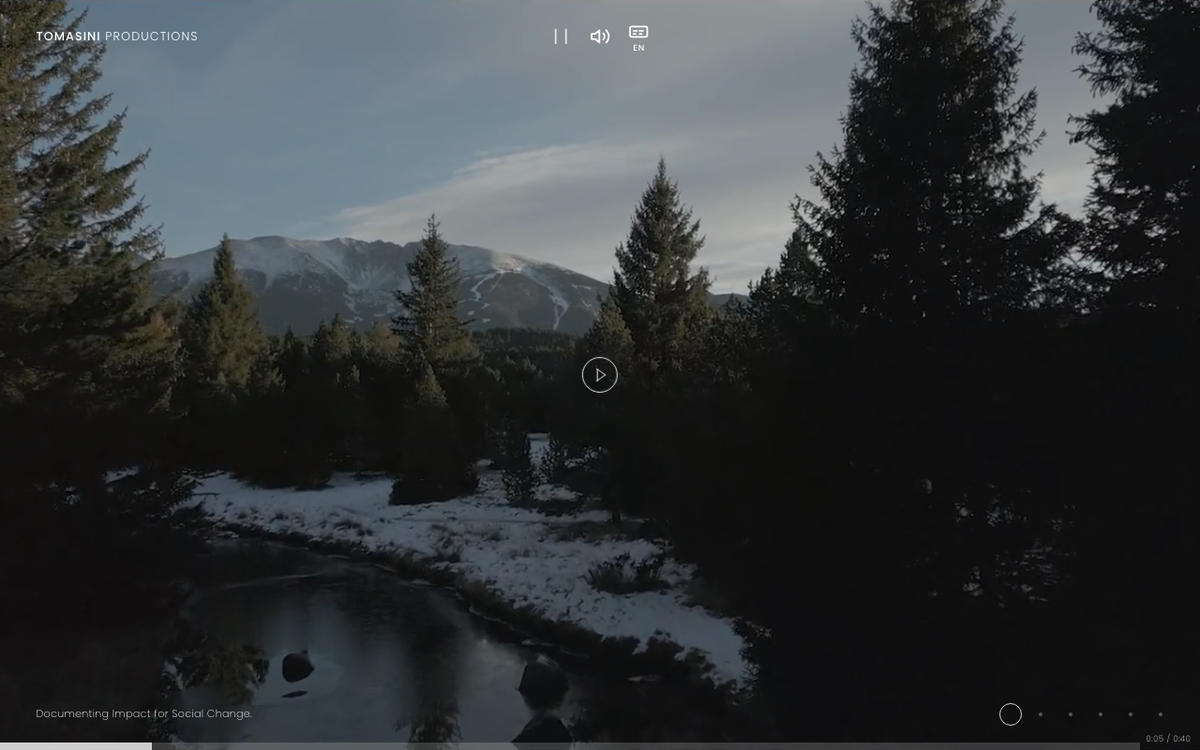 Tomasini Productions homepage screenshot